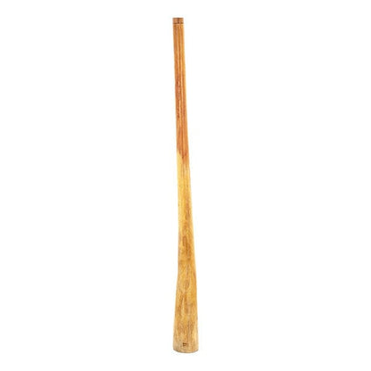 Thomann Didgeridoos 140cm - 150cm Thomann Eucalyptus Didgeridoo - Natural Yellow Box