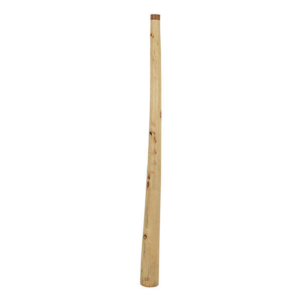 thomann didgeridoos thomann 110-125cm eucalyptus didgeridoo - natural yellow box