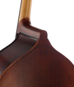 Thomann Double Bass Thomann 11AS 3/4 Europe Double Bass