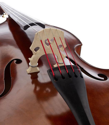 thomann double bass thomann 2/5str 3/4 europe double bass