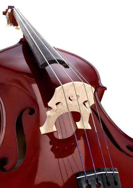 thomann double bass thomann 22vn 3/4 europe double bass