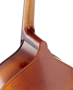 Thomann Double Bass Thomann 33 3/4 Europe Double Bass
