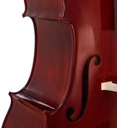 Thomann Double Bass Thomann 33VN 3/4 Europe Double Bass