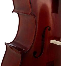 Thomann Double Bass Thomann 33VN 4/4 Europe Double Bass