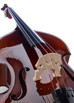 Thomann Double Bass Thomann 44A 3/4 Europe Double Bass