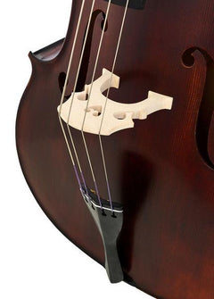 Thomann Double Bass Thomann 44A VN 3/4 Europe Double Bass