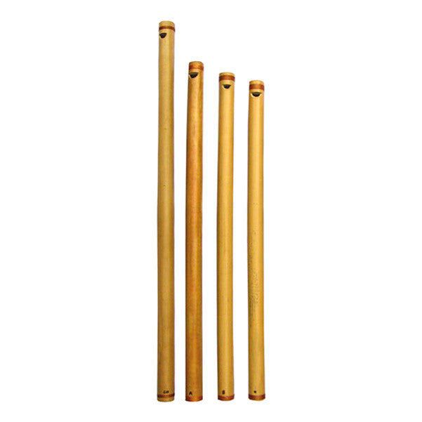 Thomann Flutes Thomann Rhythm Flute Set