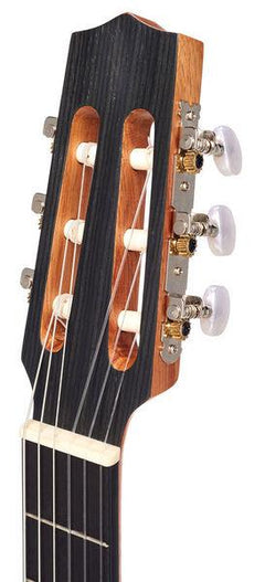 Thomann Lutes Thomann Lute Guitar Large Body CYP