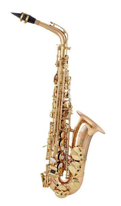 Thomann Saxophones Thomann Custom Line ASBGM