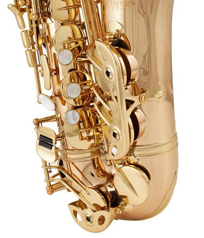 Thomann Saxophones Thomann Custom Line ASBGM