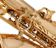 Thomann Saxophones Thomann Custom Line ASBGM