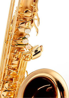 Thomann Saxophones Thomann Custom Line TLBGMG