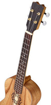 Thomann Tenor Ukuleles Thomann Artist Tenor Ukulele ACA