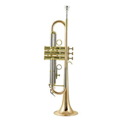 Thomann Trumpets Gold Thomann TR-5000 Bb Trumpet