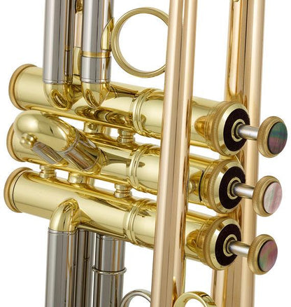 thomann trumpets thomann tr-5000 gl bb- trumpet
