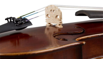 thomann violins thomann scolara ombrosa violin set 4/4