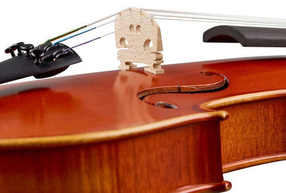thomann violins thomann scolara rossa violin set 4/4