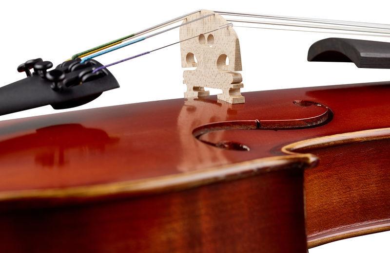 thomann violins thomann scolara scura violin set 4/4