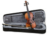 Thomann Violins Thomann Student Violinset 1/10
