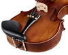 Thomann Violins Thomann Student Violinset 3/4