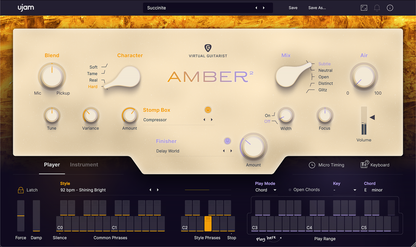 Ujam Virtual Instruments UJAM Upgrade AMBER 2: Upgrade