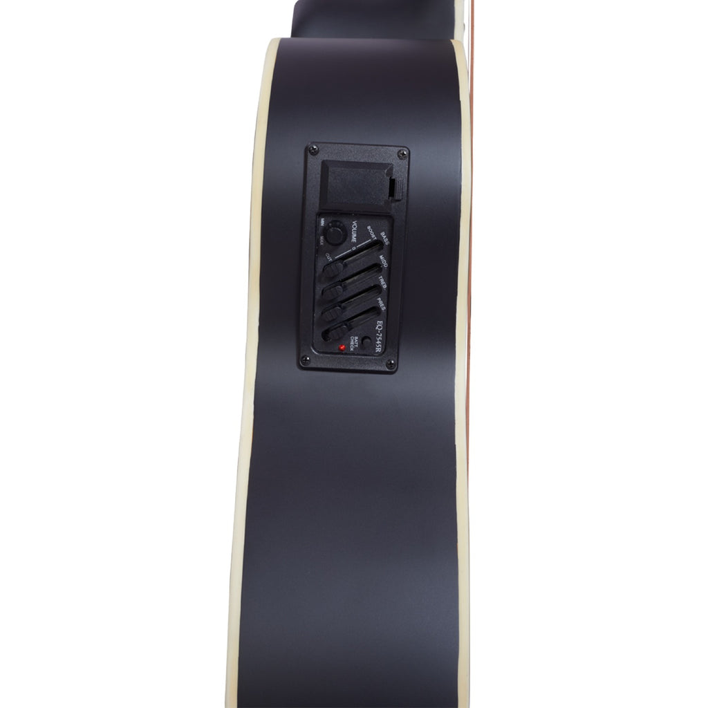 Vault Acoustic Guitars Vault EA20 Guitar Kit with Learn to Play Ebook, Bag, Strings, Straps, Picks, String winder & Polishing Cloth - 40 inch Cutaway Acoustic Guitar - Open Box