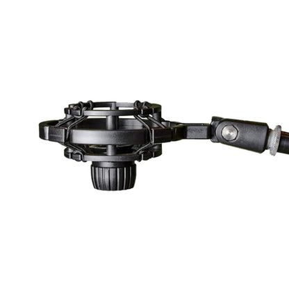 vault condenser microphones vault ccm-260 condenser cardioid microphone with shockmount and xlr cable - open box