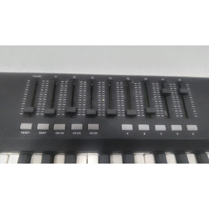Vault Midi Keyboards Vault APEX 49 USB MIDI Keyboard With RGB Pads - Includes Bitwig 8-Track - Open Box B Stock