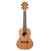 Vault Ukulele Bundles Vault UK-100C Concert Ukulele With Gig Bag, Polishing Cloth And Tuner