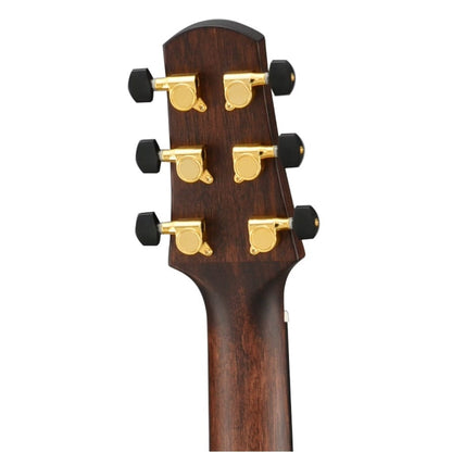 walden electro acoustic guitars walden b103e/h grand auditorium electro acoustic guitar with hardshell case - natural